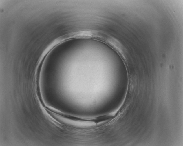 X0000084601475200702231508