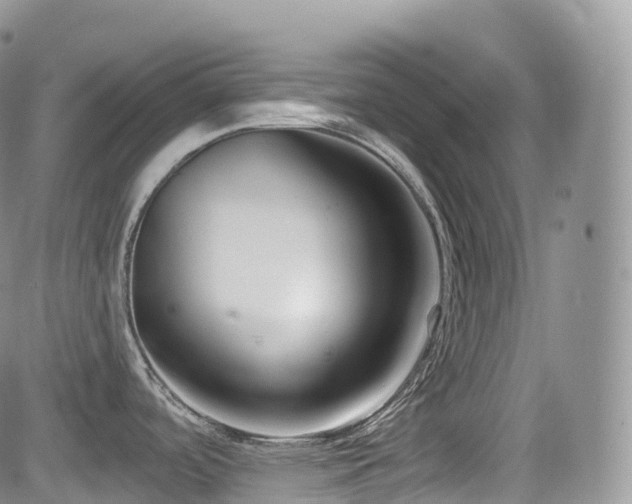 X0000084601488200702231508