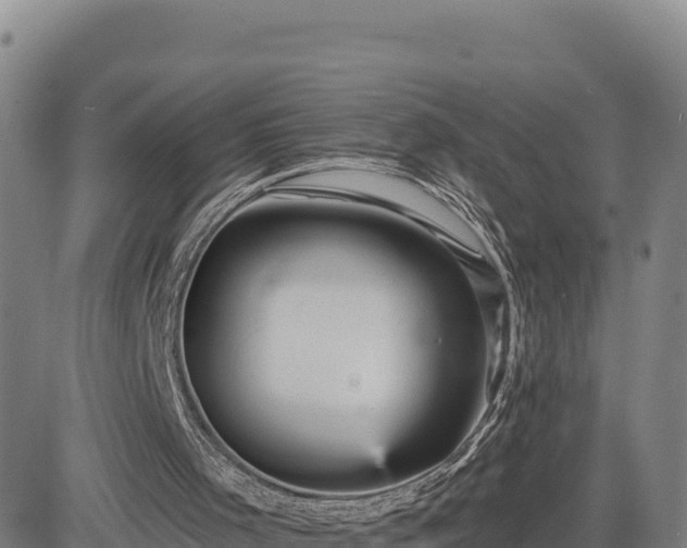 X0000084600001200703021639