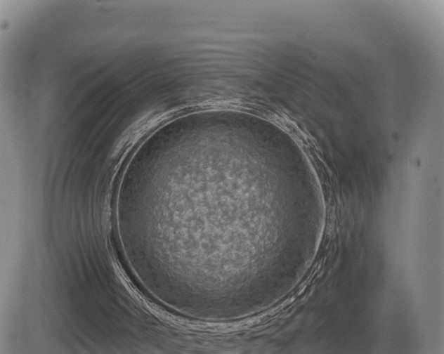 X0000084600002200703021639