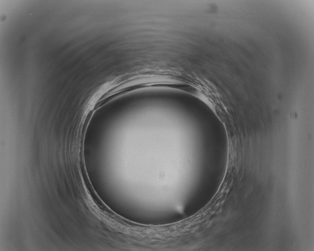 X0000084600003200703021638