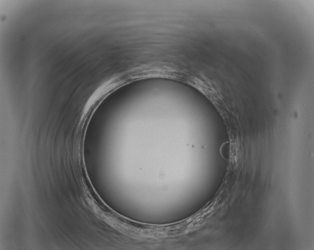 X0000084600004200703021638