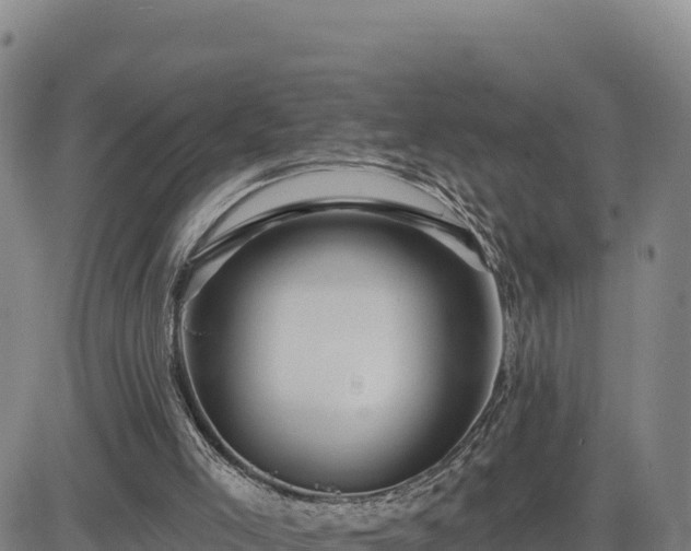 X0000084600005200703021638