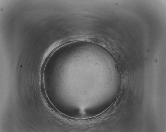 X0000084600006200703021638