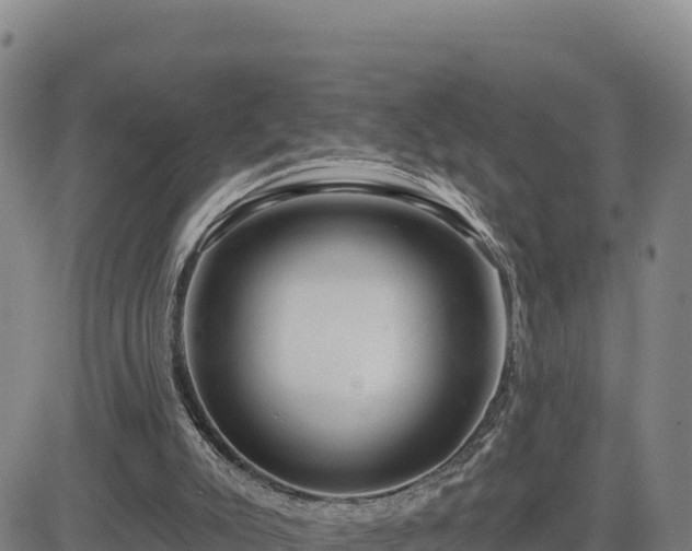 X0000084600007200703021638