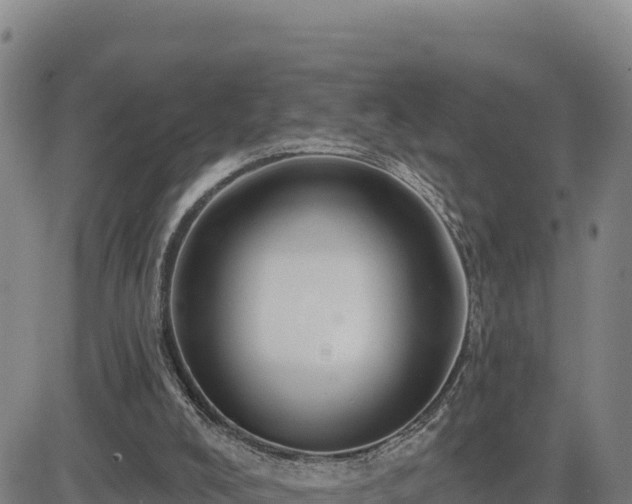 X0000084600008200703021638