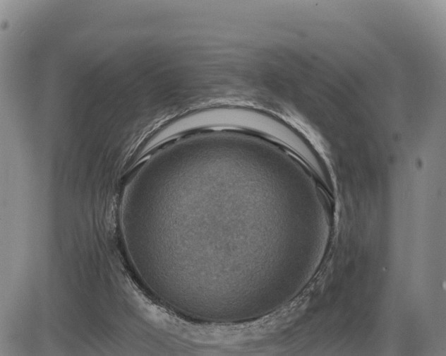 X0000084600009200703021638