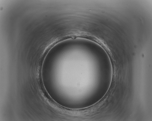 X0000084600010200703021638