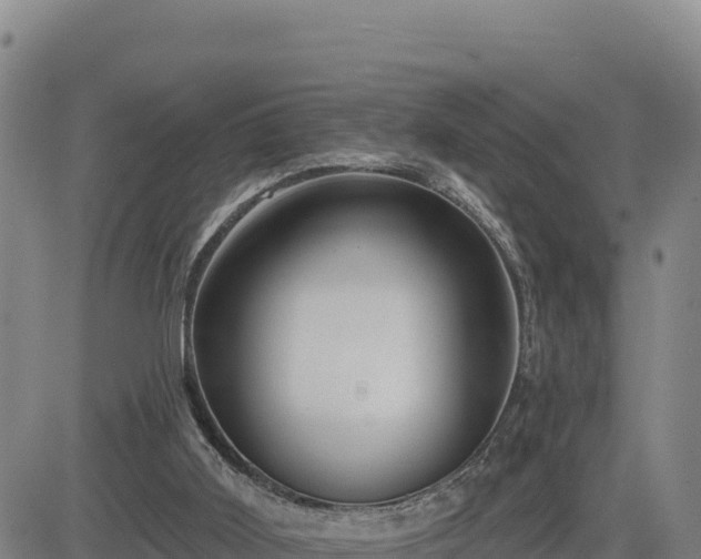 X0000084600011200703021638