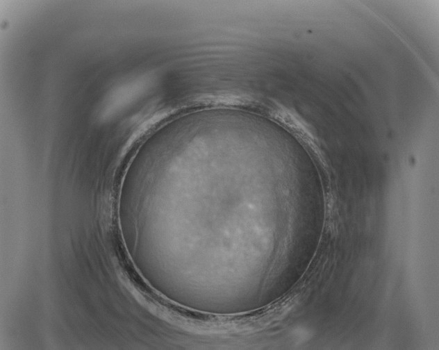 X0000084600012200703021638