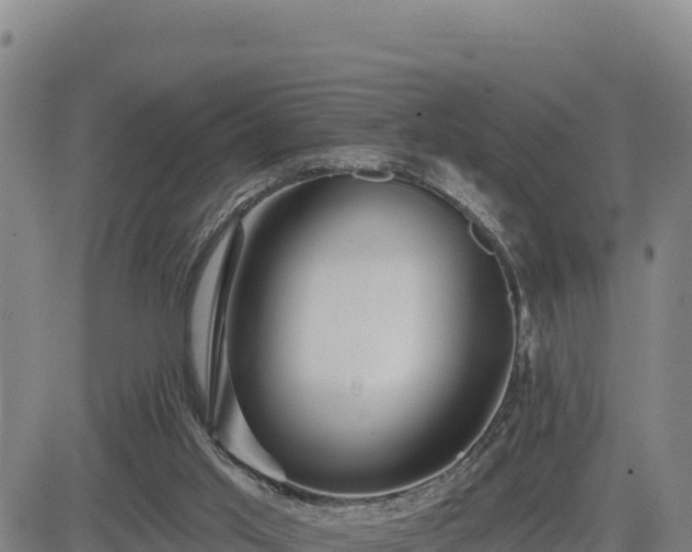 X0000084600013200703021638