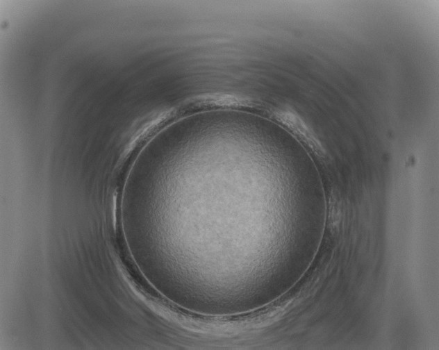 X0000084600014200703021638