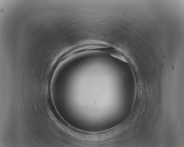 X0000084600015200703021638