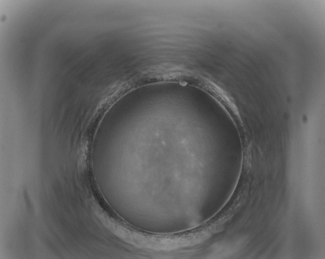 X0000084600018200703021638