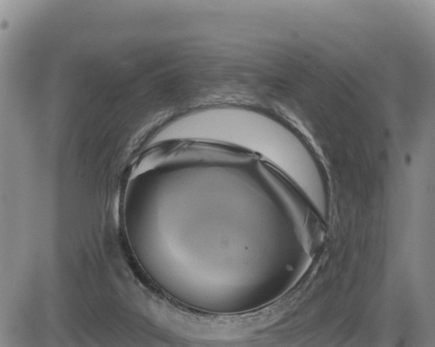 X0000084600019200703021638