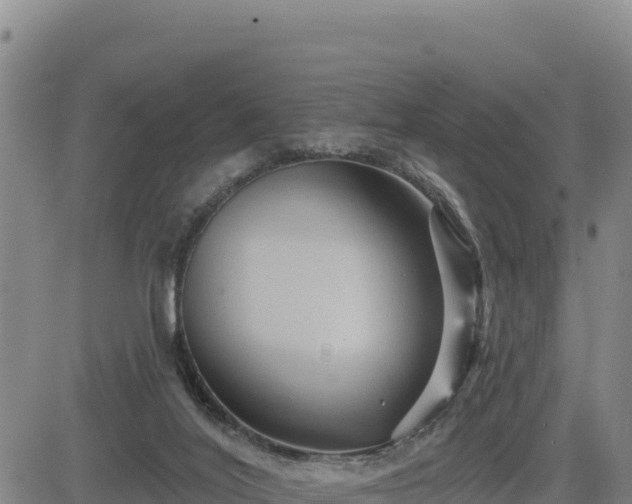 X0000084600020200703021638