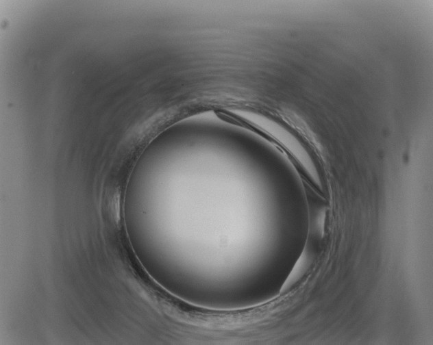 X0000084600021200703021638