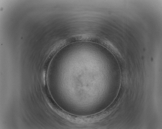 X0000084600022200703021638