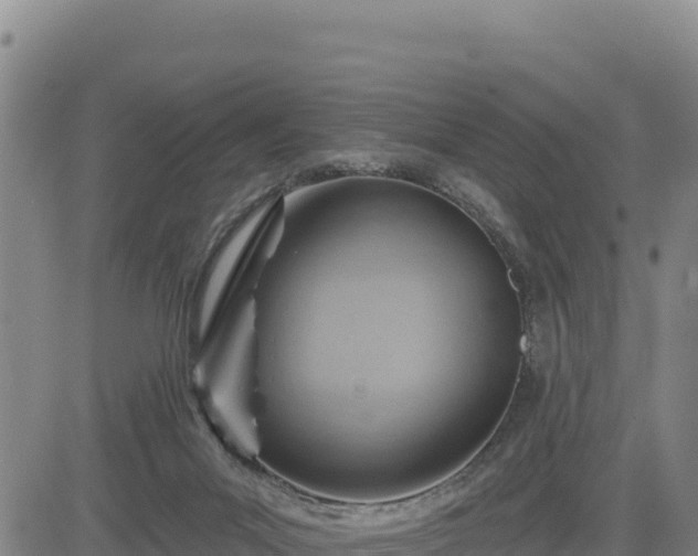 X0000084600023200703021638