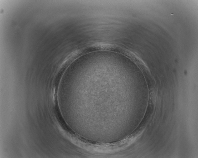 X0000084600024200703021638