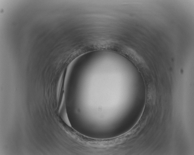 X0000084600025200703021638