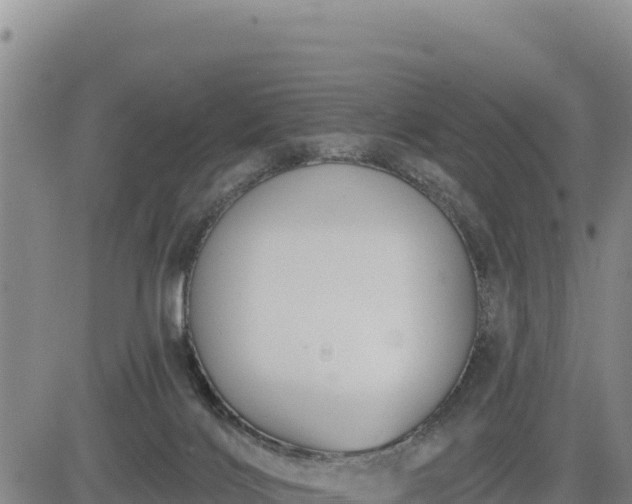 X0000084600028200703021638