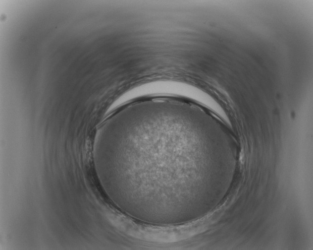 X0000084600029200703021638