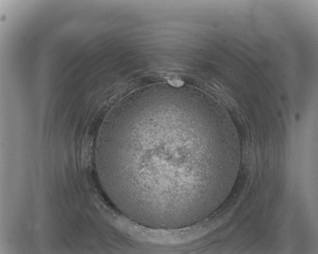 X0000084600030200703021638