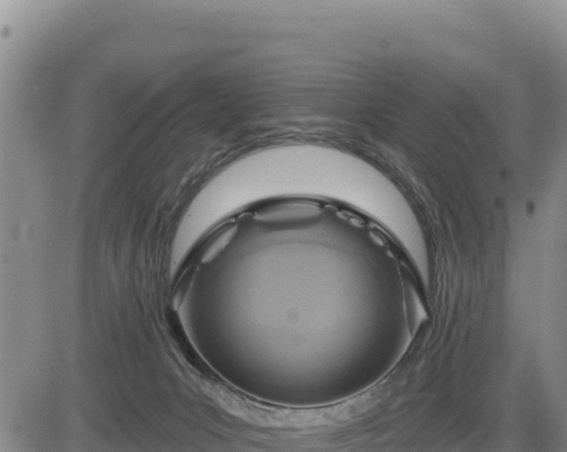 X0000084600031200703021638