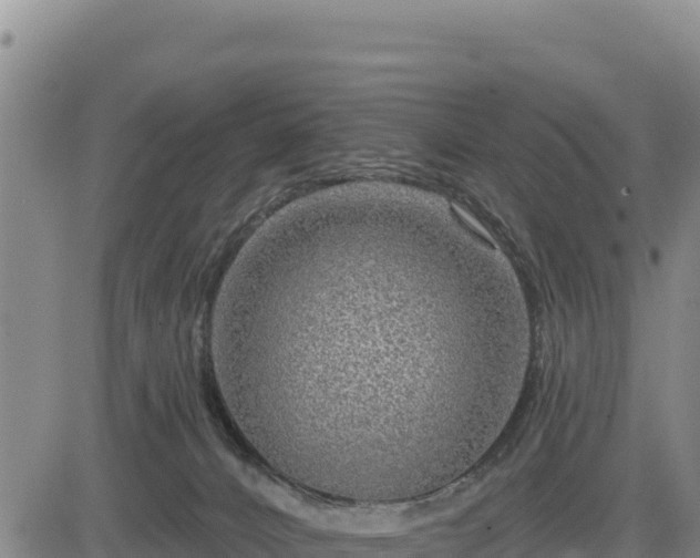 X0000084600032200703021638