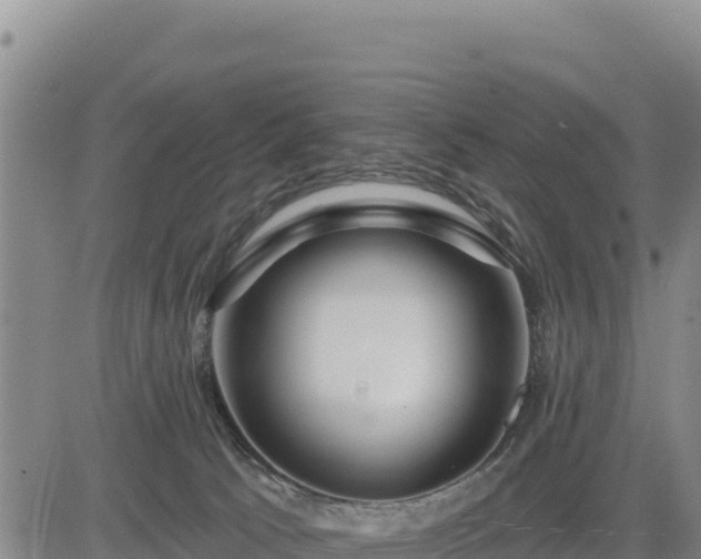 X0000084600033200703021638