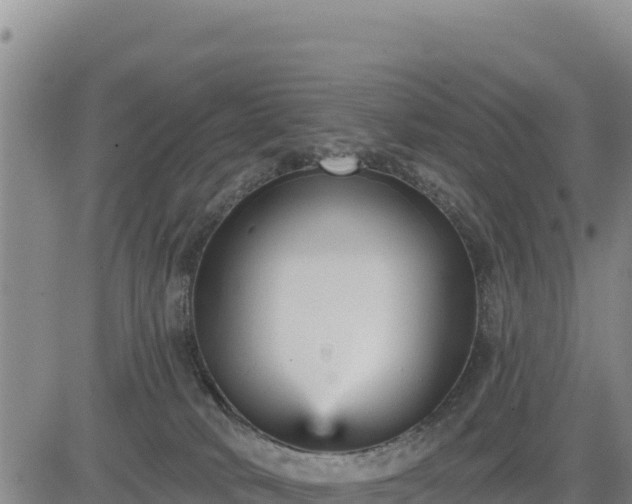 X0000084600034200703021638