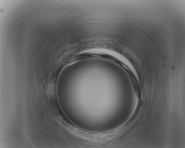 X0000084600035200703021638