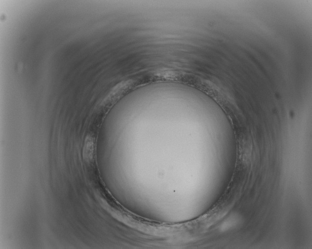 X0000084600036200703021638