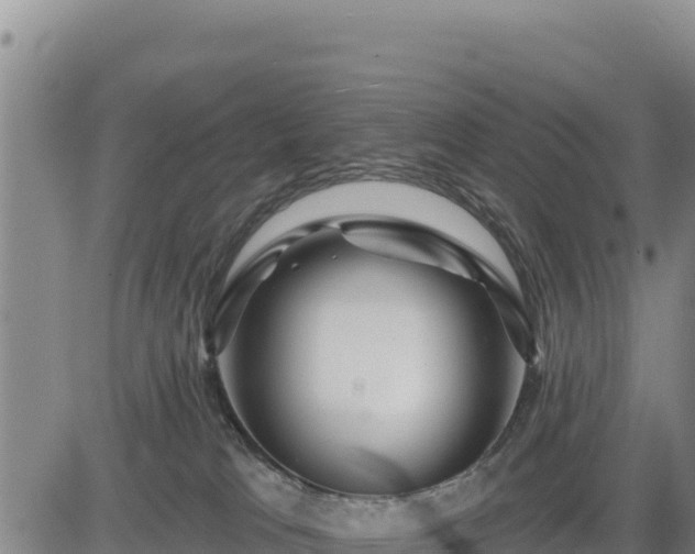 X0000084600037200703021638