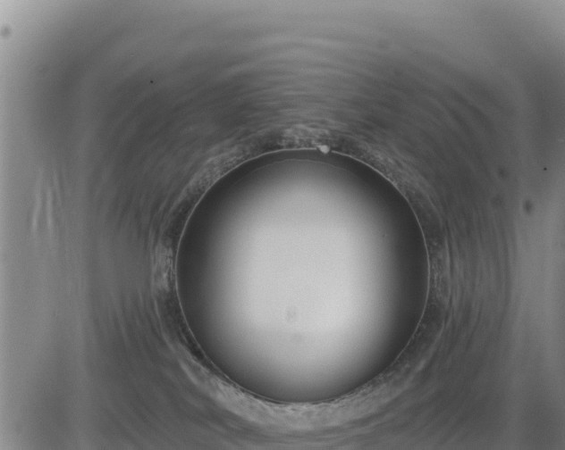 X0000084600038200703021638