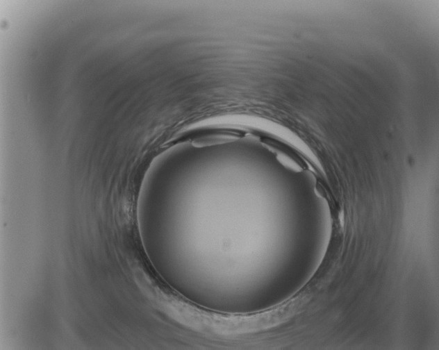 X0000084600039200703021638