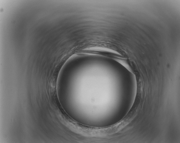 X0000084600040200703021638