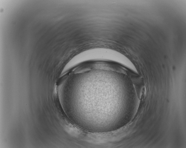 X0000084600041200703021638