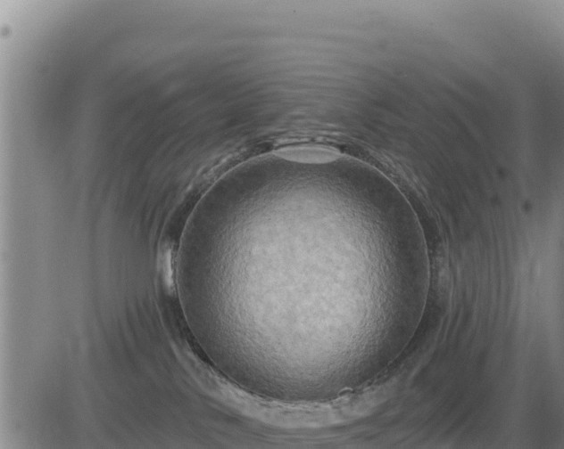 X0000084600042200703021638