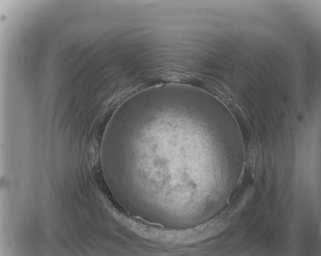 X0000084600043200703021638