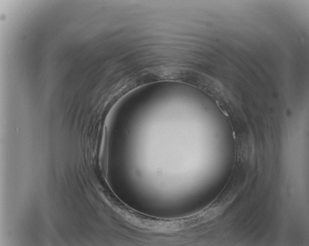 X0000084600044200703021638