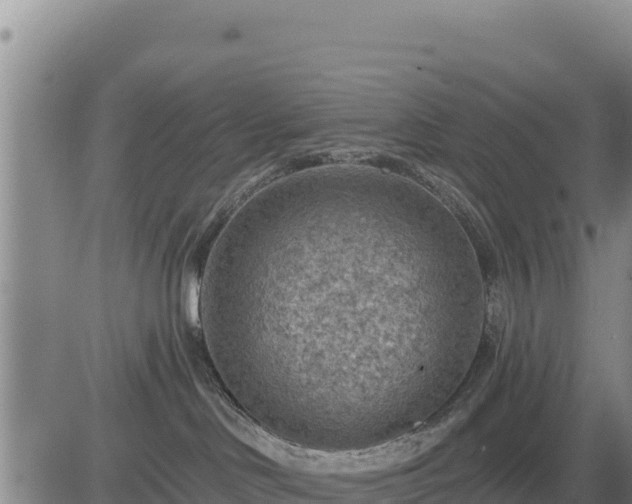 X0000084600046200703021638