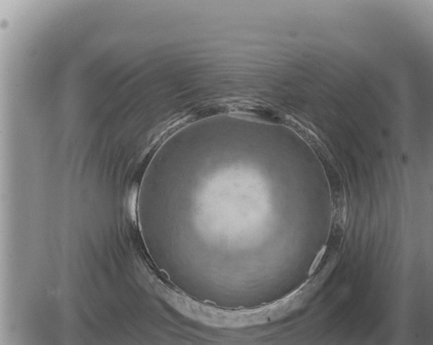 X0000084600047200703021638