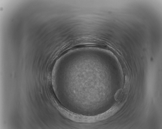 X0000084600048200703021638