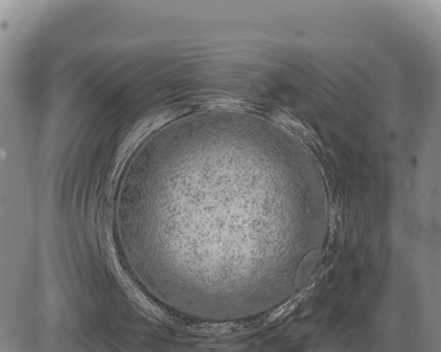 X0000084600049200703021637