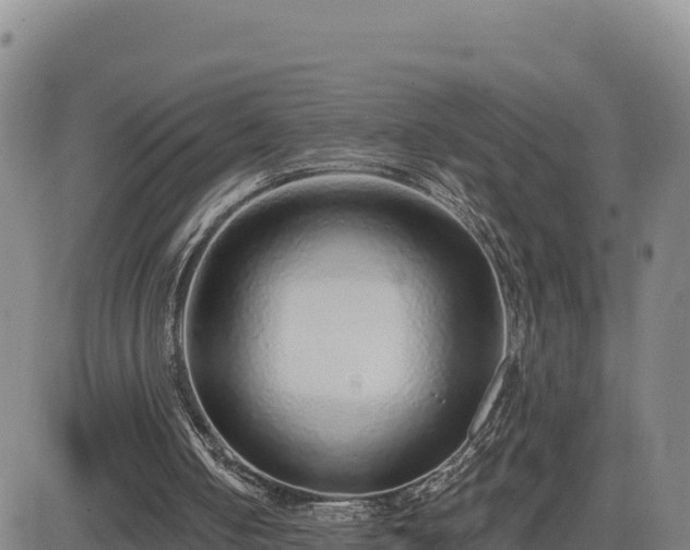 X0000084600050200703021637