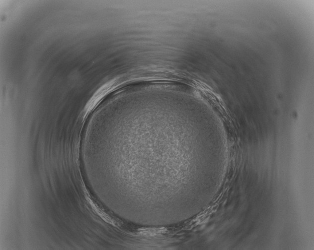 X0000084600051200703021637