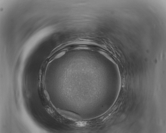 X0000084600052200703021637