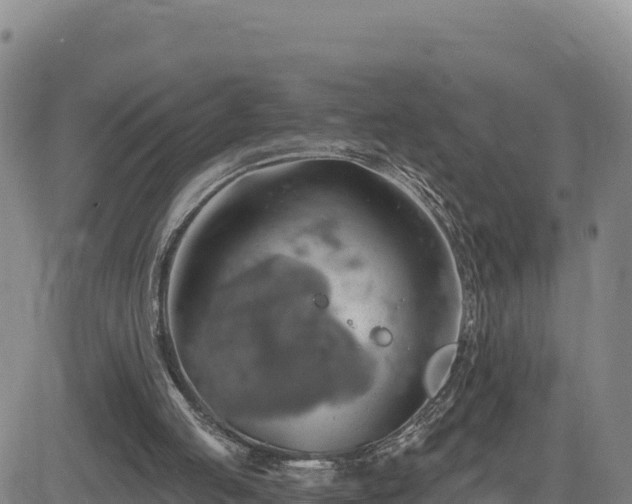 X0000084600053200703021637